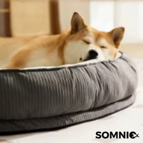 SOMNIO, riposo che cura